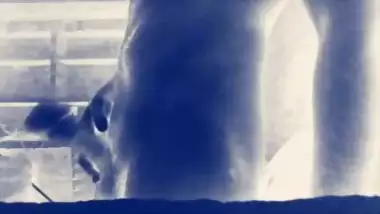 Big Indian cock