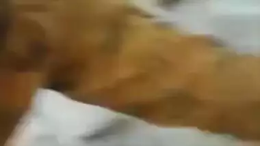Porn video of the Desi girl with a nose piercing and raunchy boyfriend