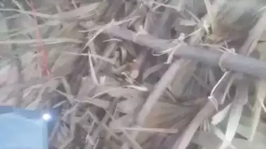 Man sucks boobs before fucking the milf in Nepali sex