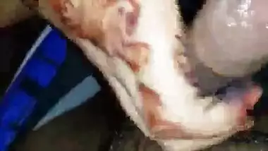 Sister and brother sex