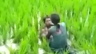 Worker sees Indian lovers who are going to have sex on the field