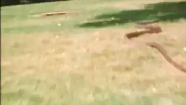 Madnika Hot Cleavage - Movies.