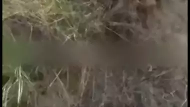 Village lovers caught by voyeur outdoors in viral Desi mms video