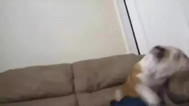 NRI Girl Fucked By Lover With Their Pet Watching
